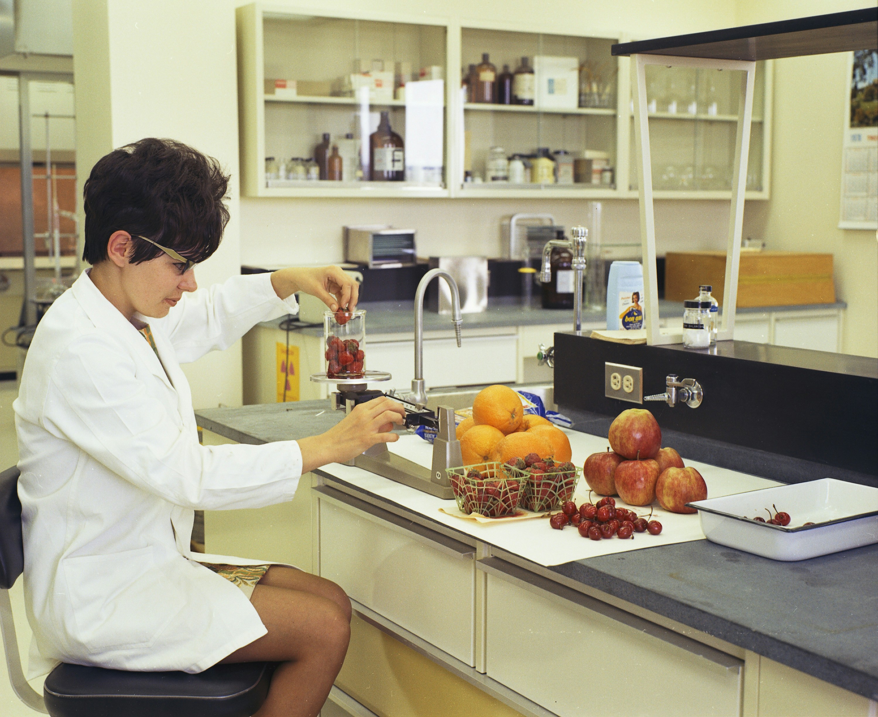 Food Processing & Agribusiness