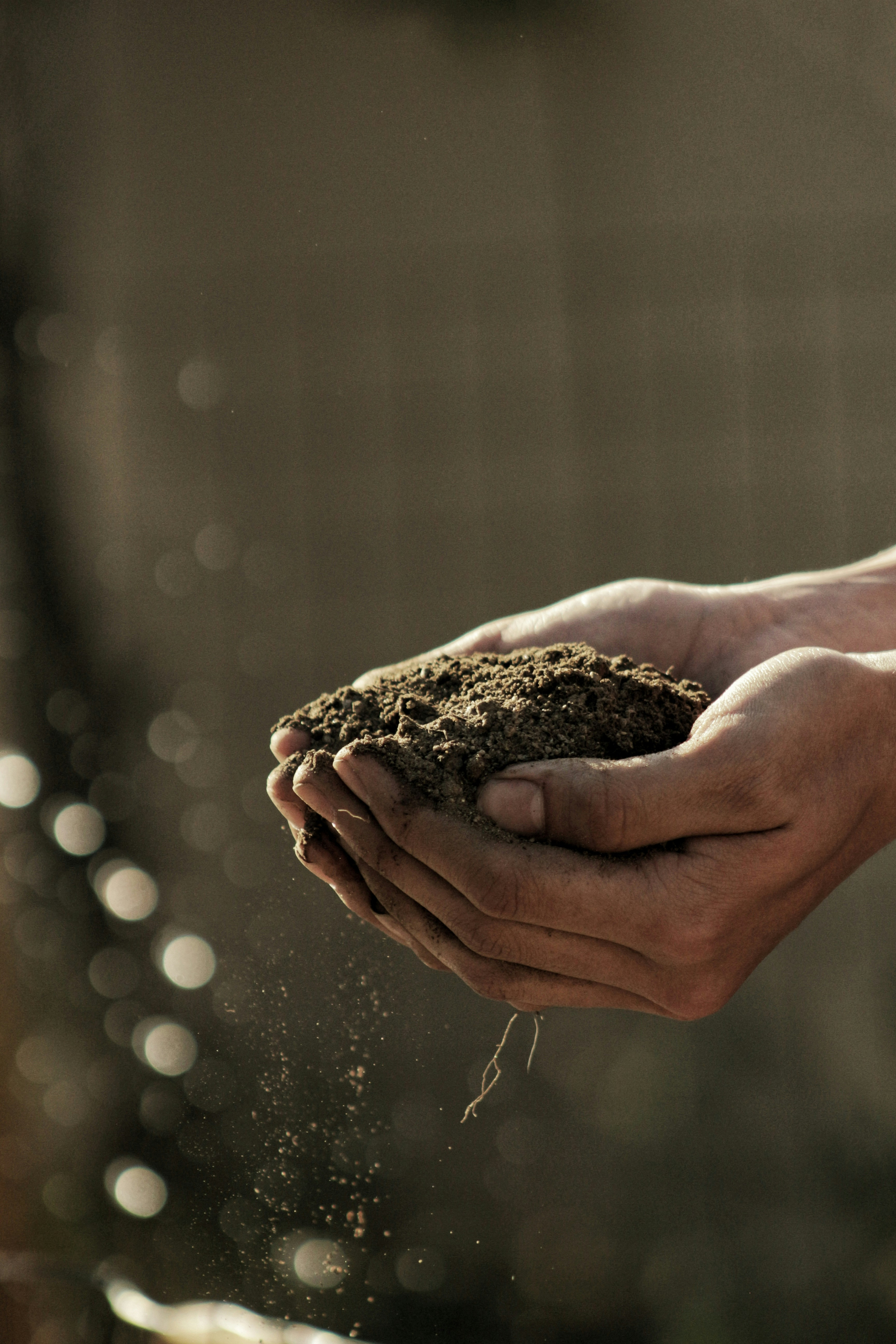 Smart Farming