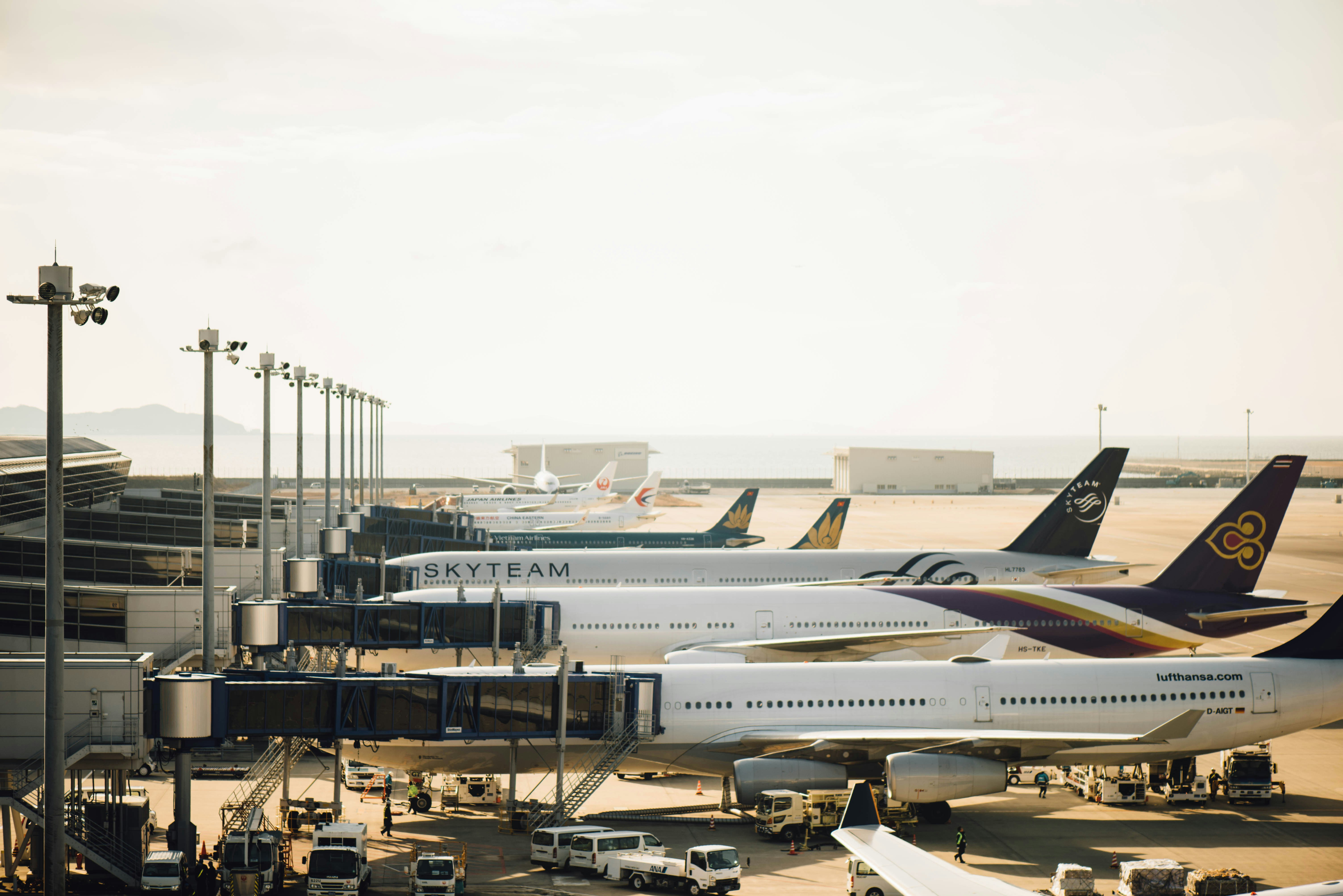 Transportation Management