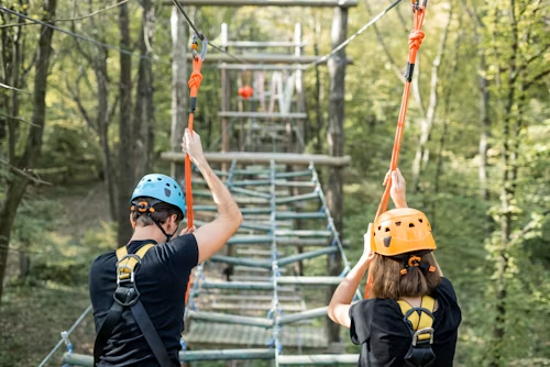 Tour & Activity Platforms